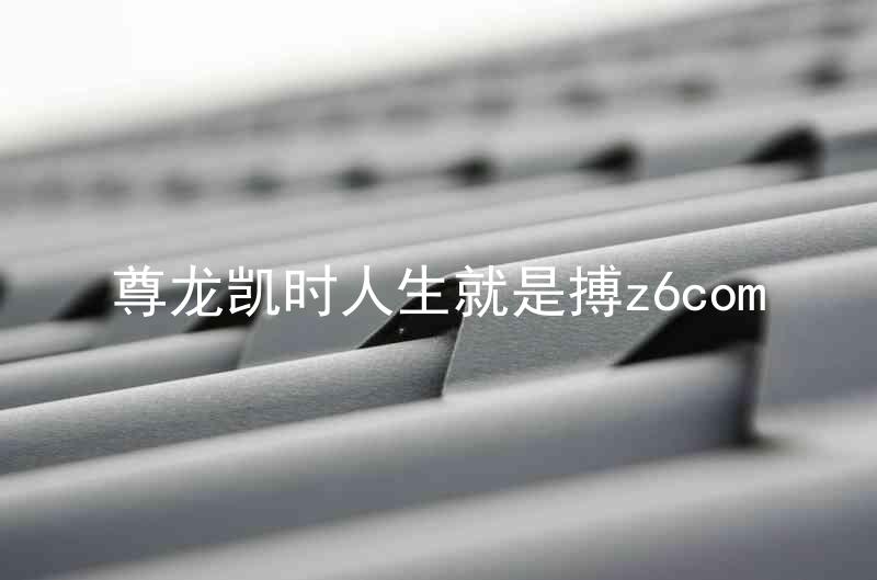 尊龙凯时人生就是搏z6com