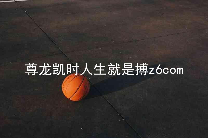 尊龙凯时人生就是搏z6com