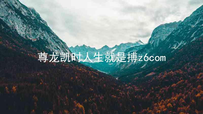尊龙凯时人生就是搏z6com